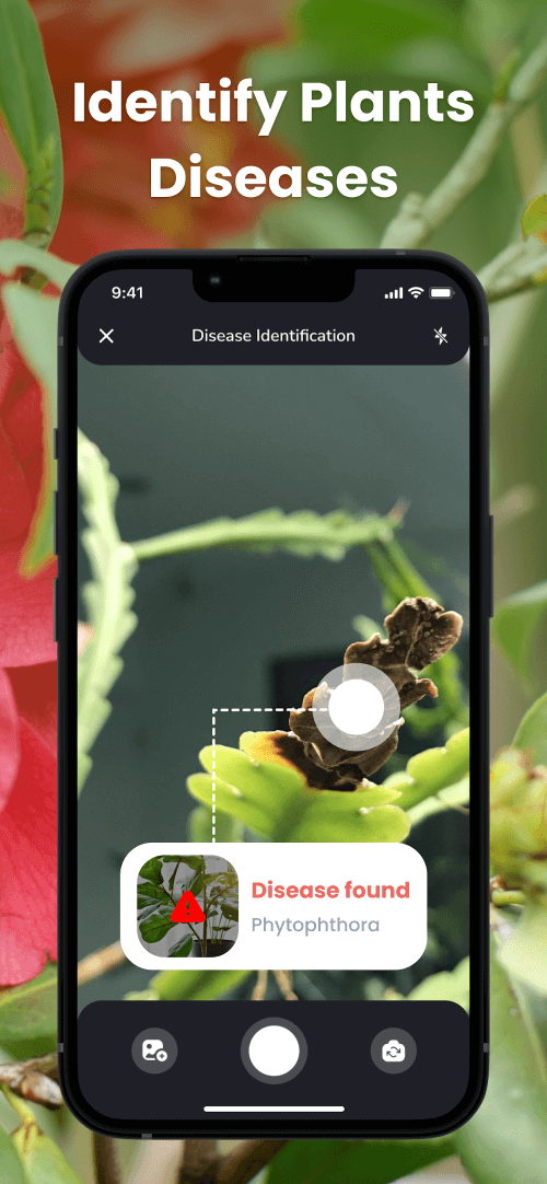 PlantIn: Plant Identification - education - apps