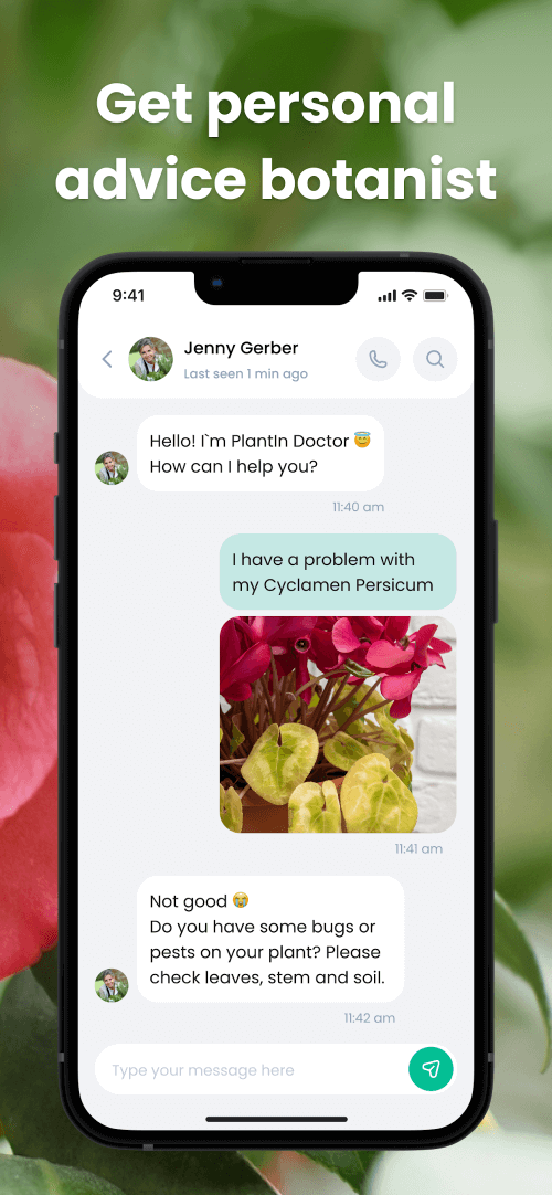 PlantIn: Plant Identification - education - apps